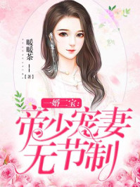 一婚二宝帝少宠妻请节制